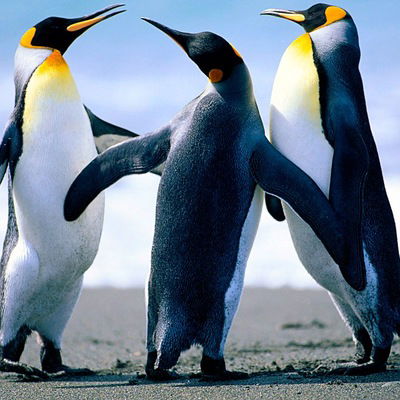 Ильдар Абдулин