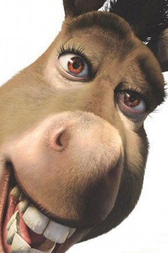 Индеец Джоп