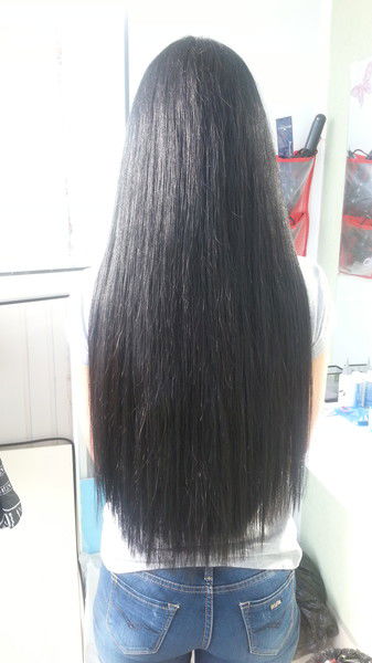 Светлана Пленкова