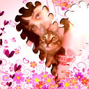 ๑۩۩๑ Арина ๑۩۩๑