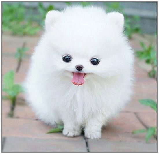 Елизавета Юлдашева