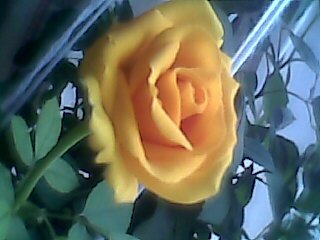 Ольга Мордвинова