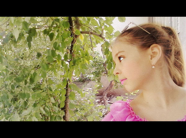 Синеглазка_Из Цветочногогорода