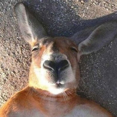 Дмитрий Петров