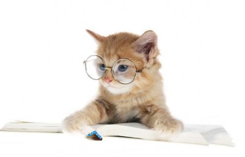 Юлия Иванова