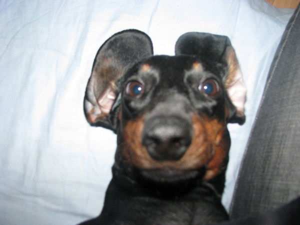 Александр Косов