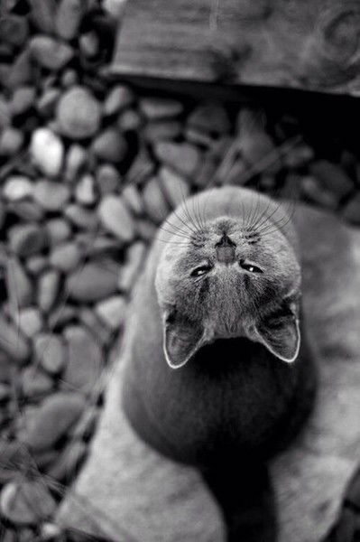 Даша Силантьева