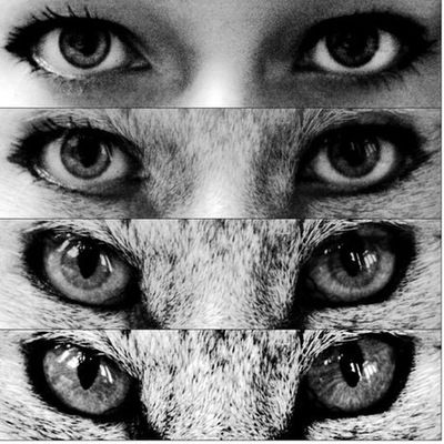 Полина Андреева