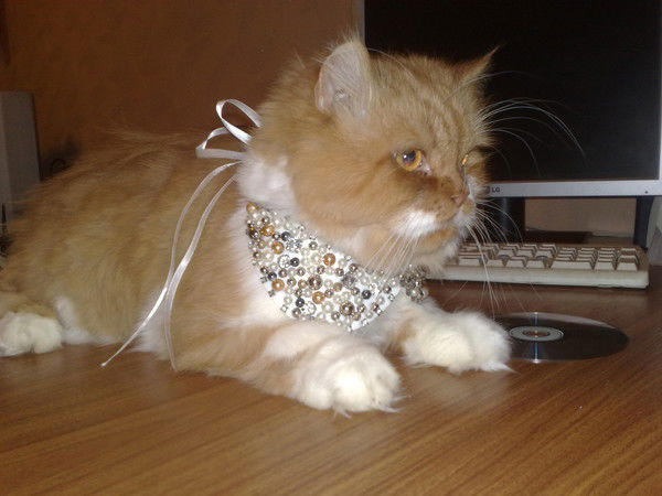 Mарсель Исхаков