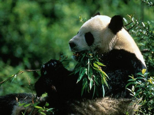 Александр Кузёмин