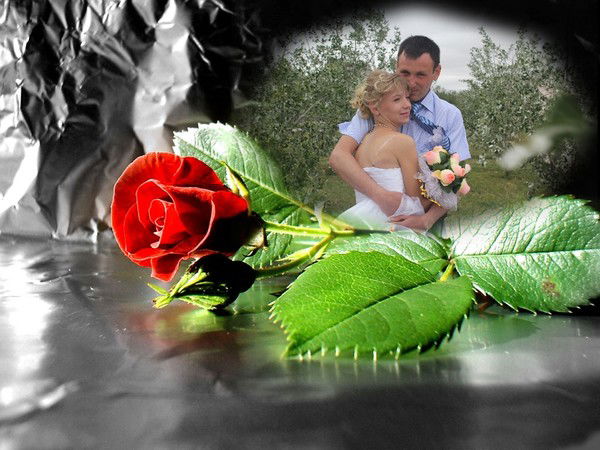 Павел Николаев