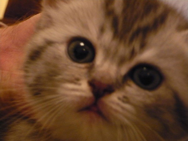 Людмила Иконникова