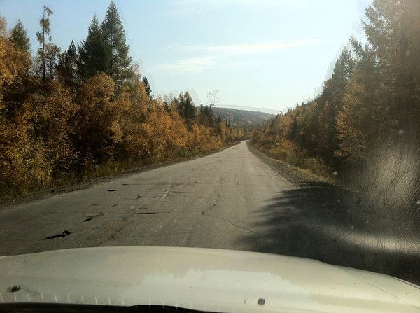 Игорь Куриленко