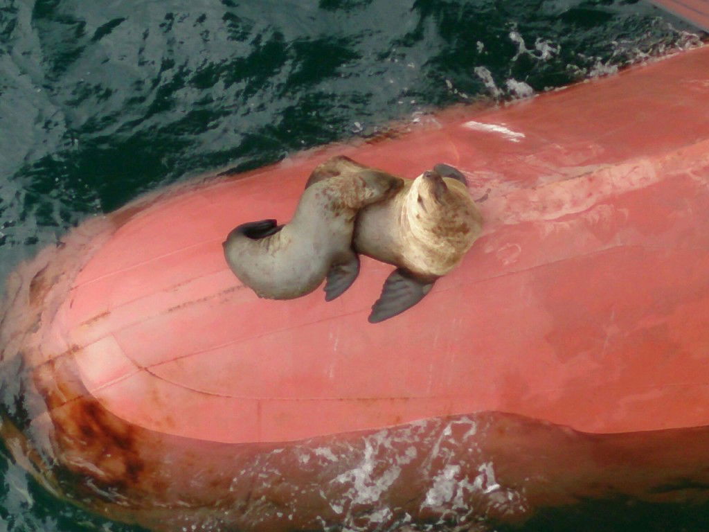 Вася Обломофф