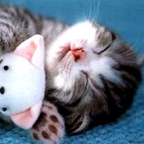 Наталья Басалыга(Левыцкая)