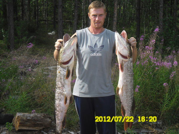 Владимир Машковцев