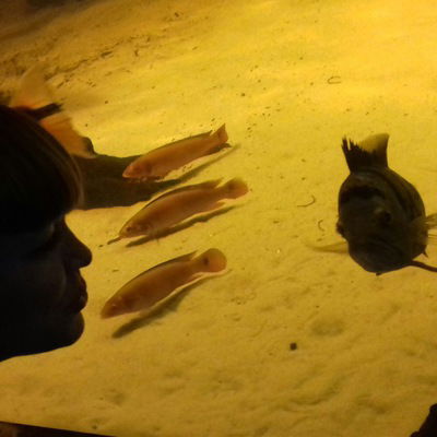 Света Светкина