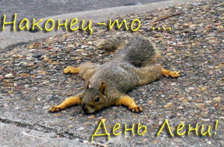 Ольга Новосёлова