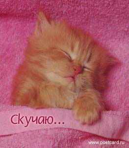 Евгений Устинов