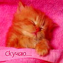 Евгений Устинов