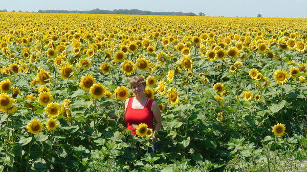 Елена Чепина