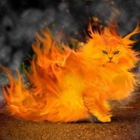 Наталия Коломенская