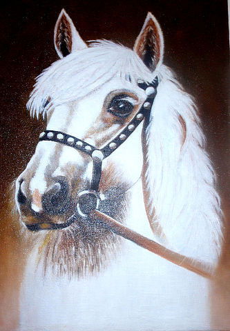 Венера Алиева