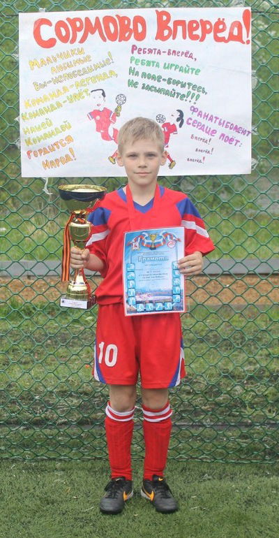 Владимир Минеев