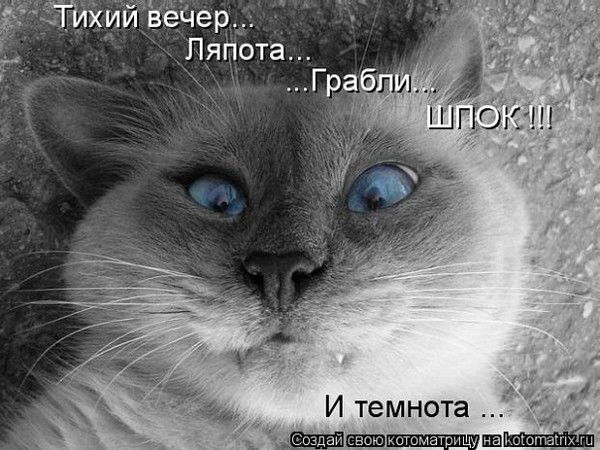 Анатолий Перов