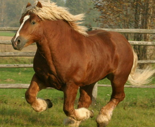 Гайрат Азизов