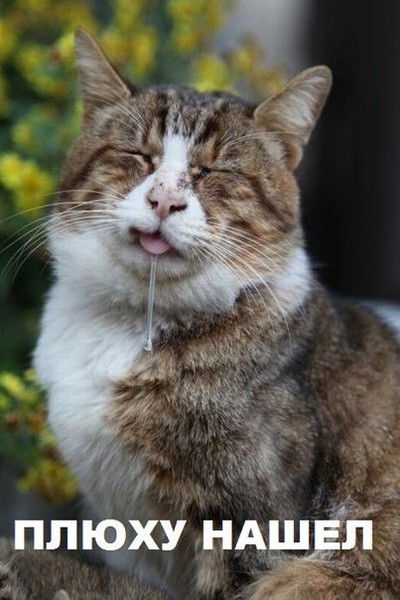 Арт Артём Семеняко  Ангел