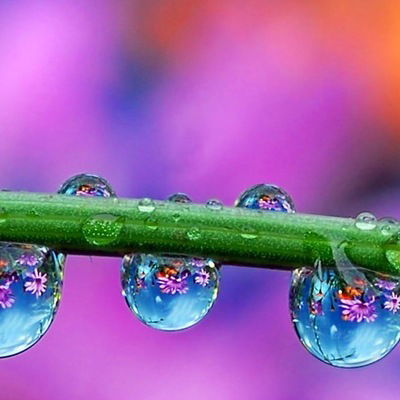 Наталья Губина