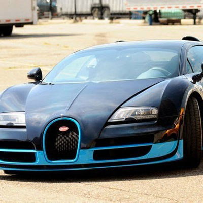 Александр Шибаков