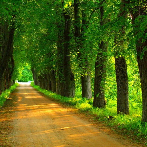 Людмила Молдован