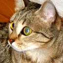 Lidali Lidali