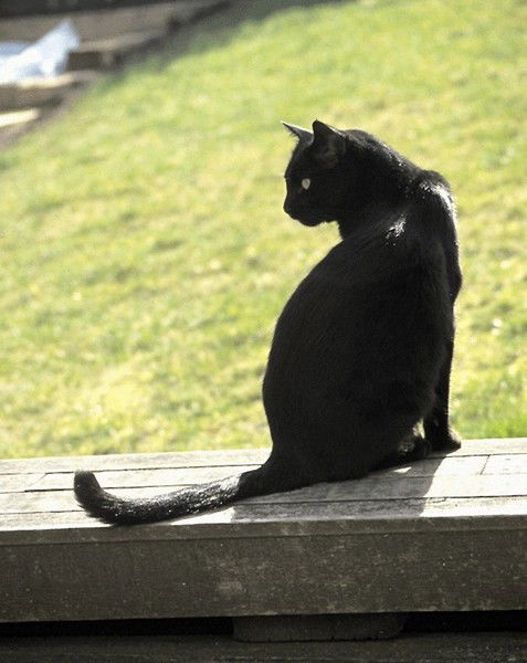 Максимова Екатерина