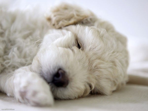 Ольга Заклицкая