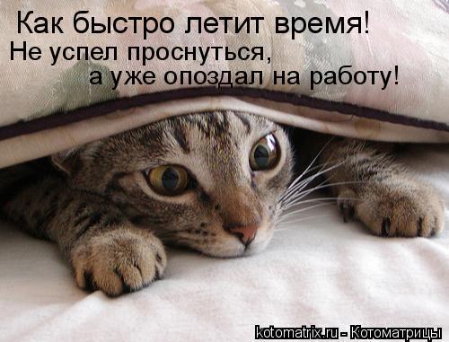 Татьяна Светлакова