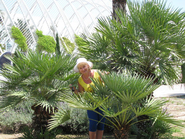 Татьяна Волкова