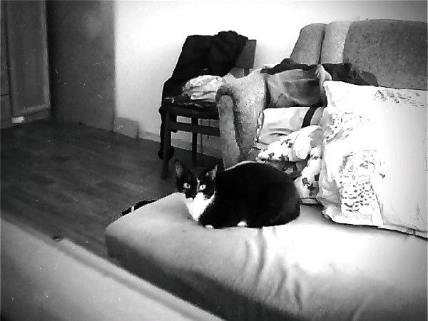 Дмитрий Водяков