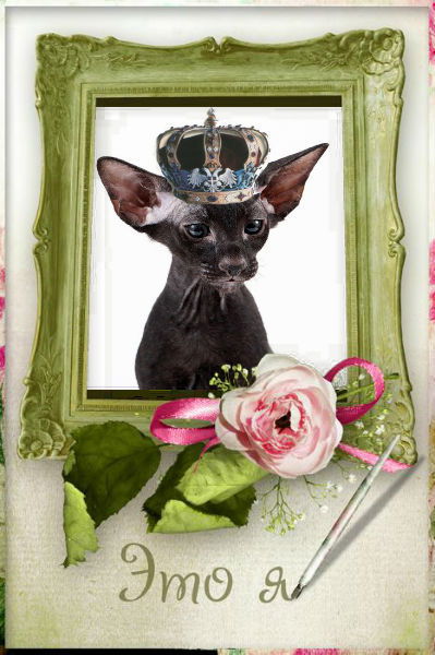 Арковская Ольга