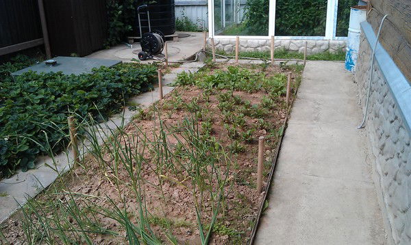 Реуцкий Николай