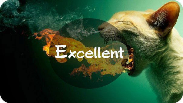 Дмитрий Excellent