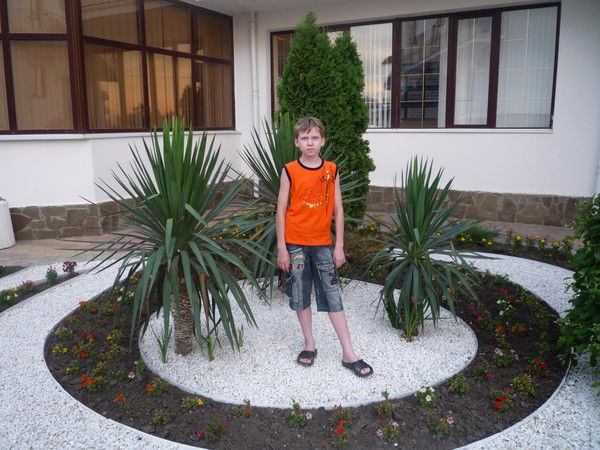 Денис Смирнов