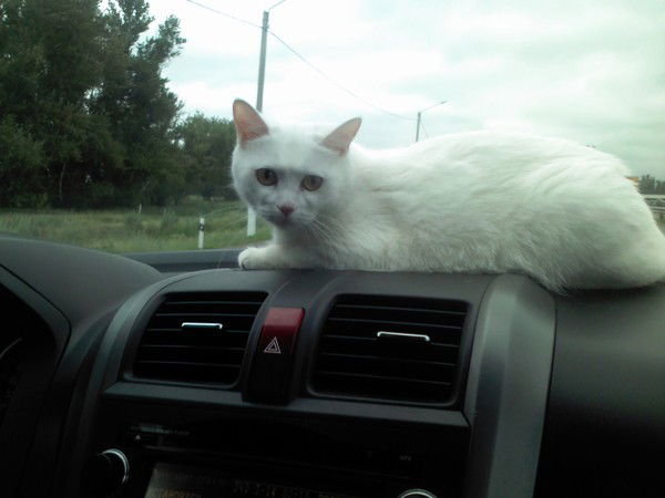 Маргарита Бандурина