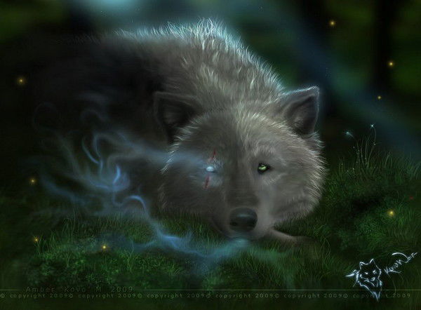 Максим Дьяченко