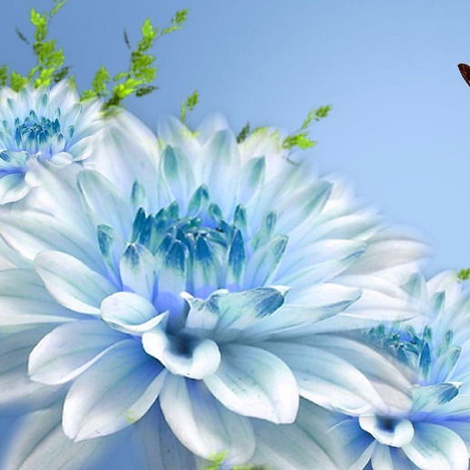 Гулия Ермаганбетова