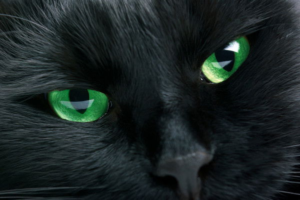 Виктор Ивин