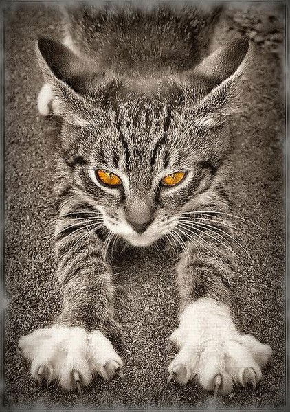 Татьяна Мартыненко