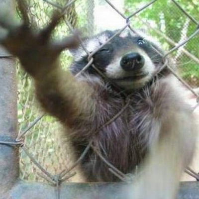 Федор Сабержанов